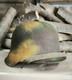 Helmet german original nice helmet M42 size 64 original WW2 WWII Free Shipping