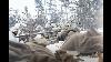 Intense Frontline Combat Footage Of German Troops Ww2