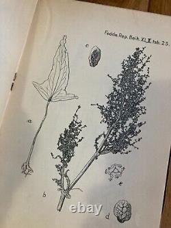 LOT x20 WW2 german books medicine plants apothecary medical cure botany 2WW rare