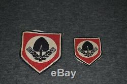 Lot Of German Ww2 R. A. D. (reichsarbeitsdienst) Insignia Patches & Pin Original