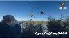 Opening Day Duck Hunting 2025 Epic Day Duckfever