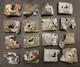 Original German Belt Buckles WW2 18 Belt buckles