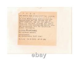 Original WW2 WWII German Mountain Troops Infantry Official military press photo