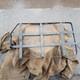 WW II WW2 Original German military Truppenfahrrad bicycle rack from Kurland