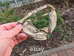 WW2 Accessories Notek from the German bunker relic