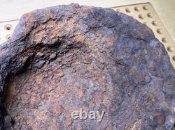 WW2 German M42 Helmet Relic Courland Pocket Uncleaned Paint Remains #147