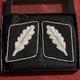 WW2 German Waffen SS Elite Officers Uniform Collar Tabs WWII RARE