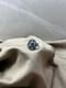WW2. German ring
