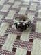 WW2. German silver ring. WW2