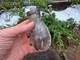 WW2 Original German Accessories Front Item Relic
