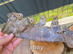 WW2 Original German Helmet Leather From Kurland Battlefield