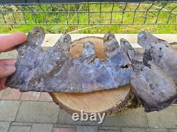 WW2 Original German Helmet Leather From Kurland Battlefield