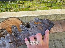 WW2 Original German Helmet Leather From Kurland Battlefield