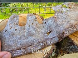 WW2 Original German Helmet Leather From Kurland Battlefield