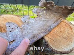 WW2 Original German Helmet Leather From Kurland Battlefield