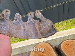 WW2 Original German Helmet Leather From Kurland Battlefield