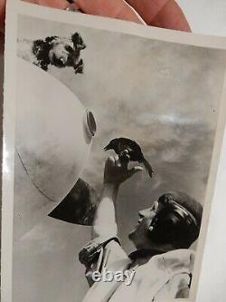 Ww2 Original German Press Photograph 18x 12cm 1943 Luftwaffe Portrait & Pets